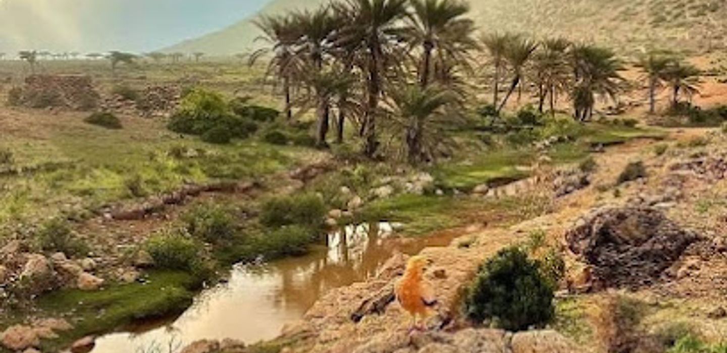 Background