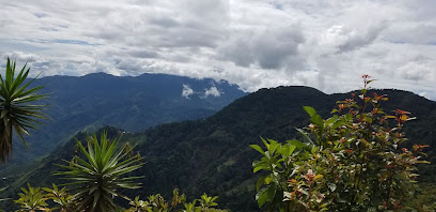 Parque Nacional Cusuco