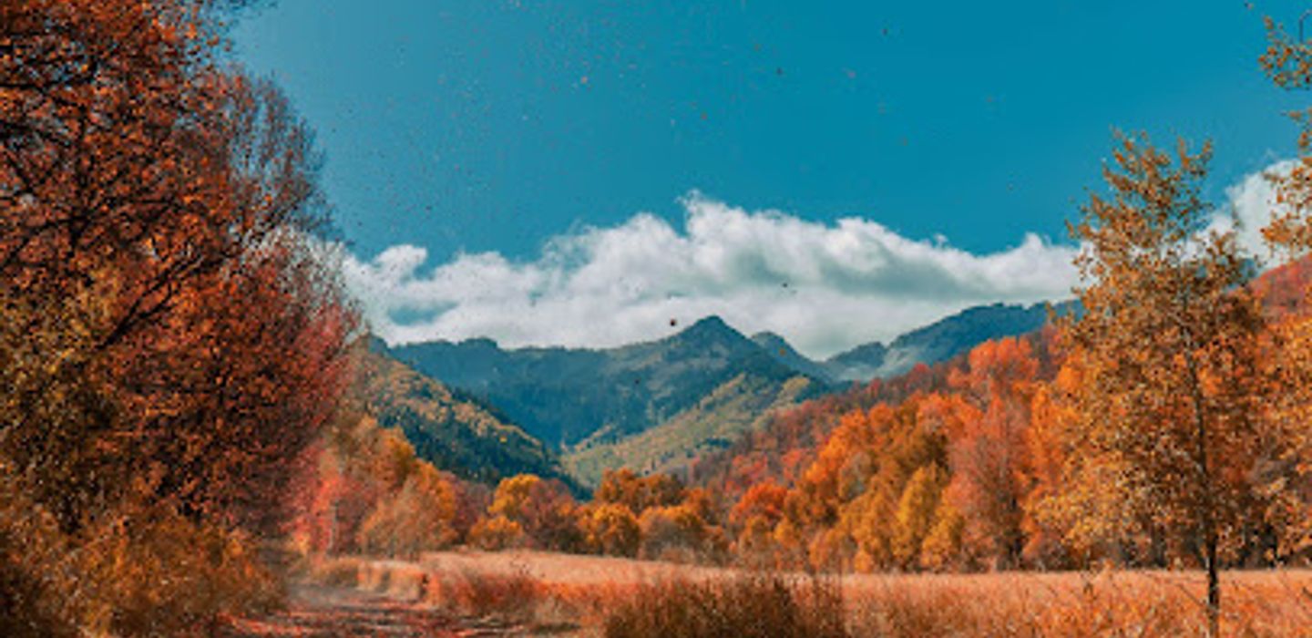 Background