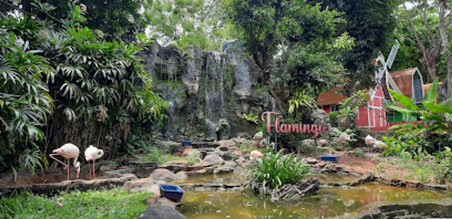 Background