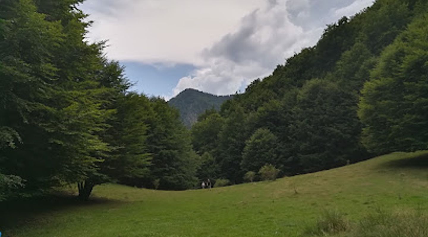 Background