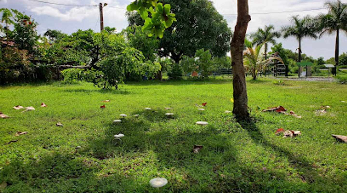 Background