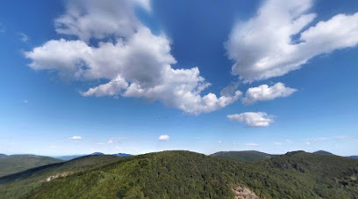 Szőlőbokor-bérc