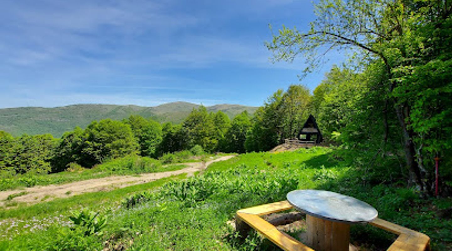 Background