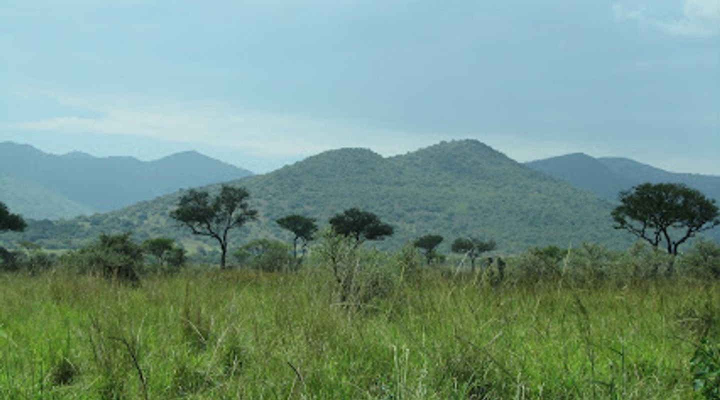 Background