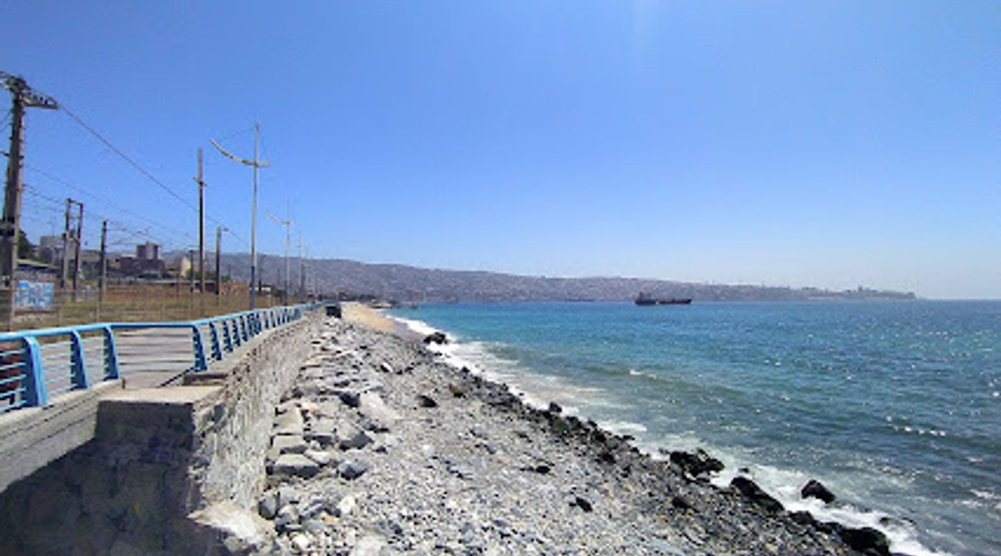 Paseo Wheelwright