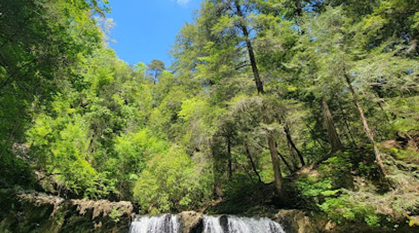 Sycamore Falls