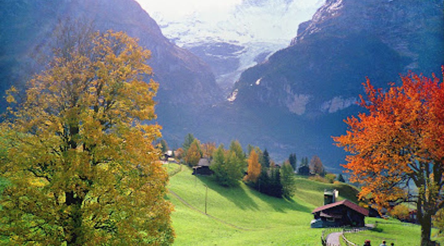 Background