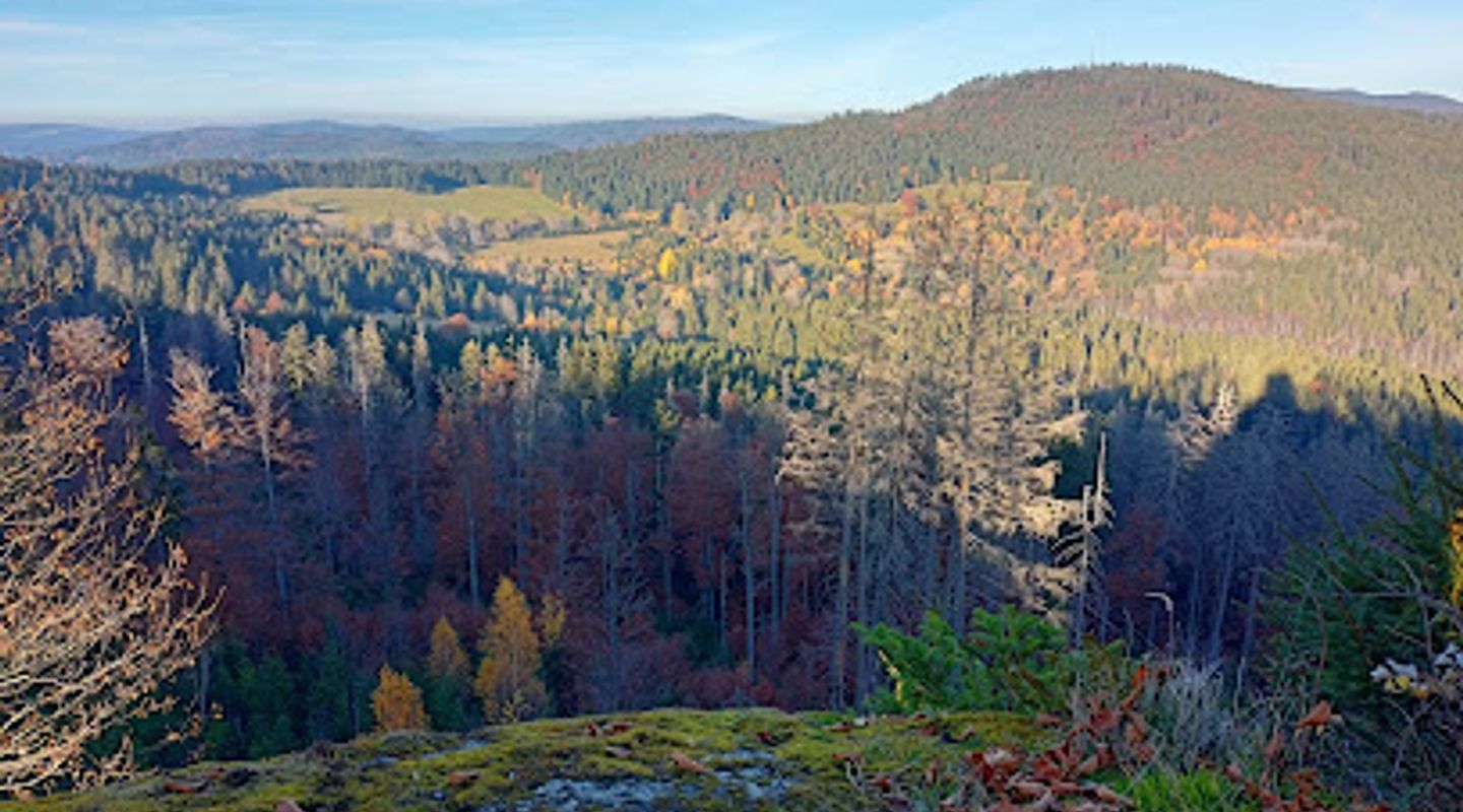Background