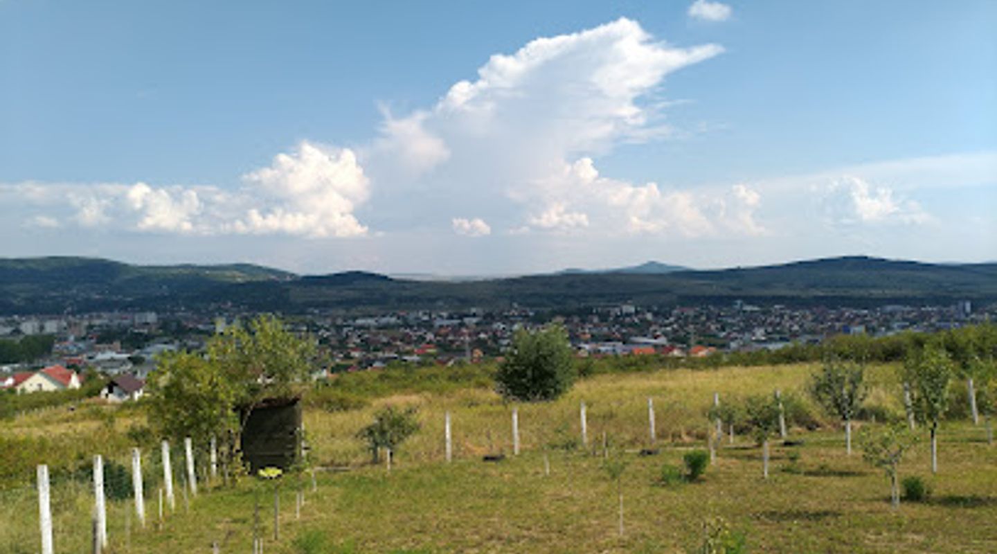 Background