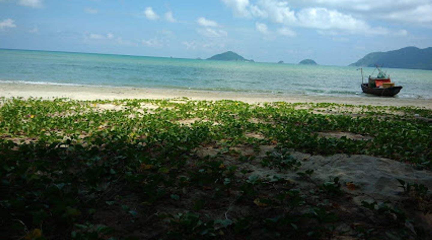 Background