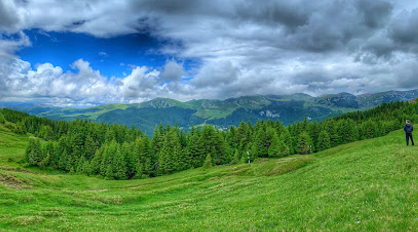 Background