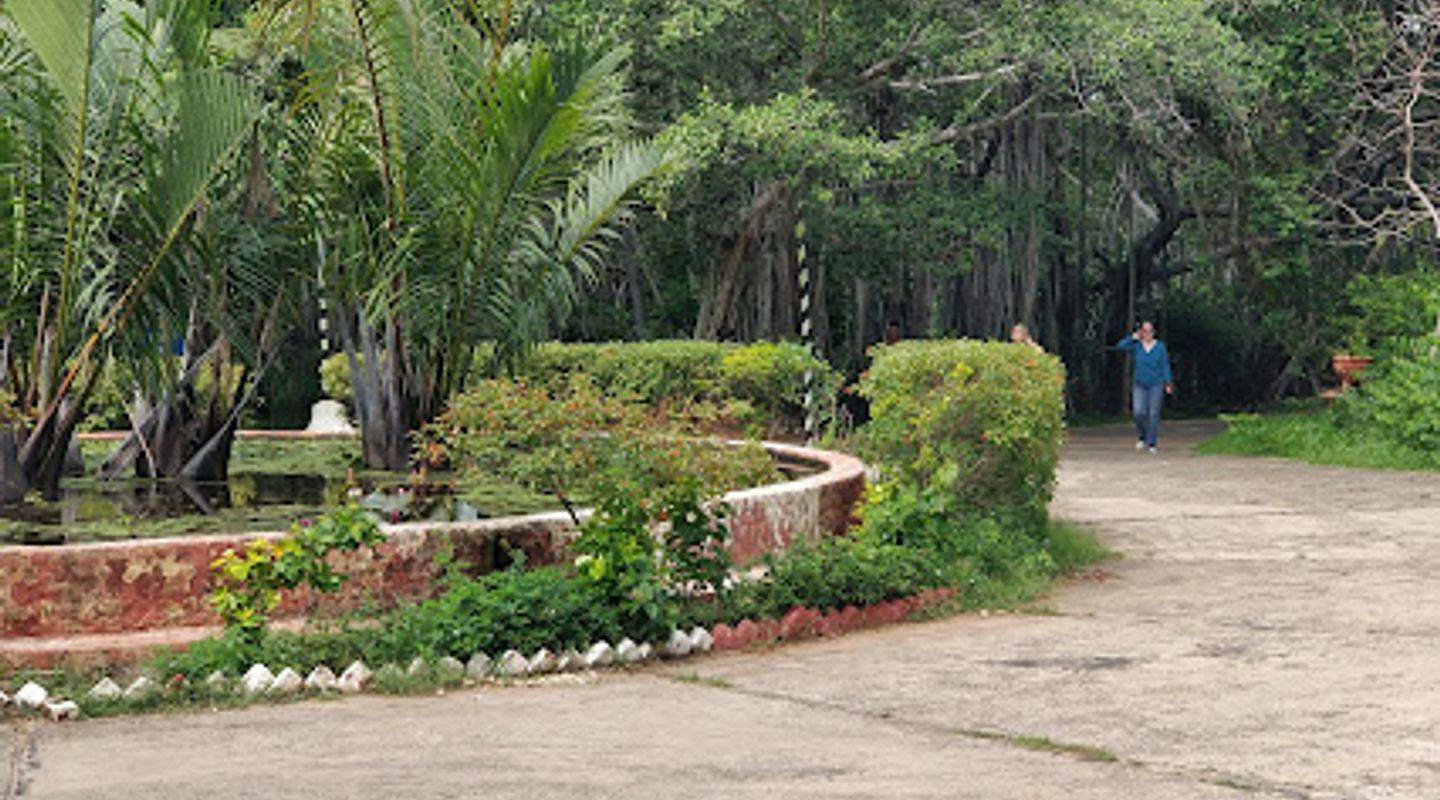 Background