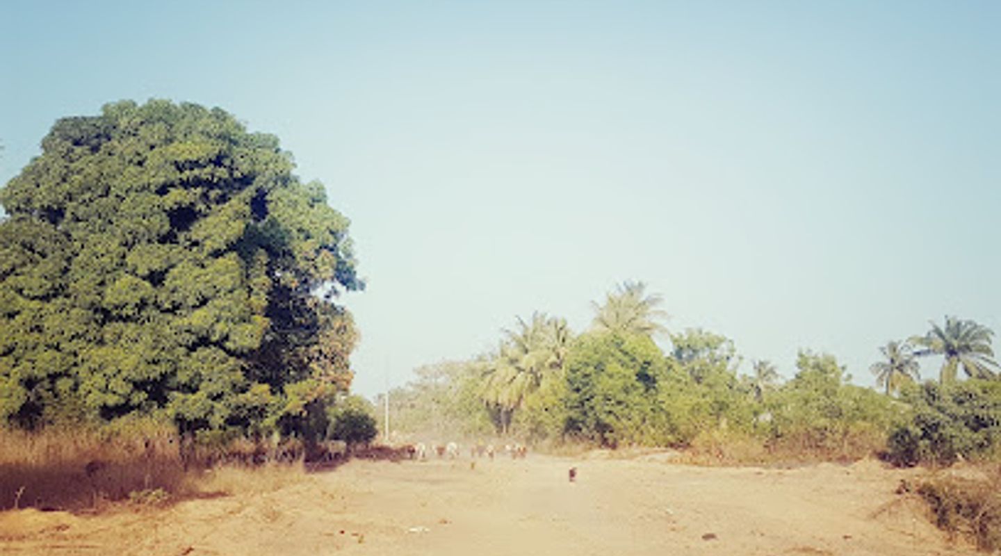 Background