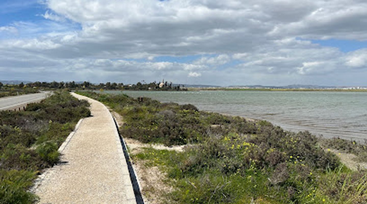 Flamingo observatory spot