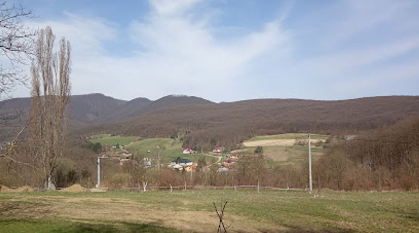 Haluzická kyselka