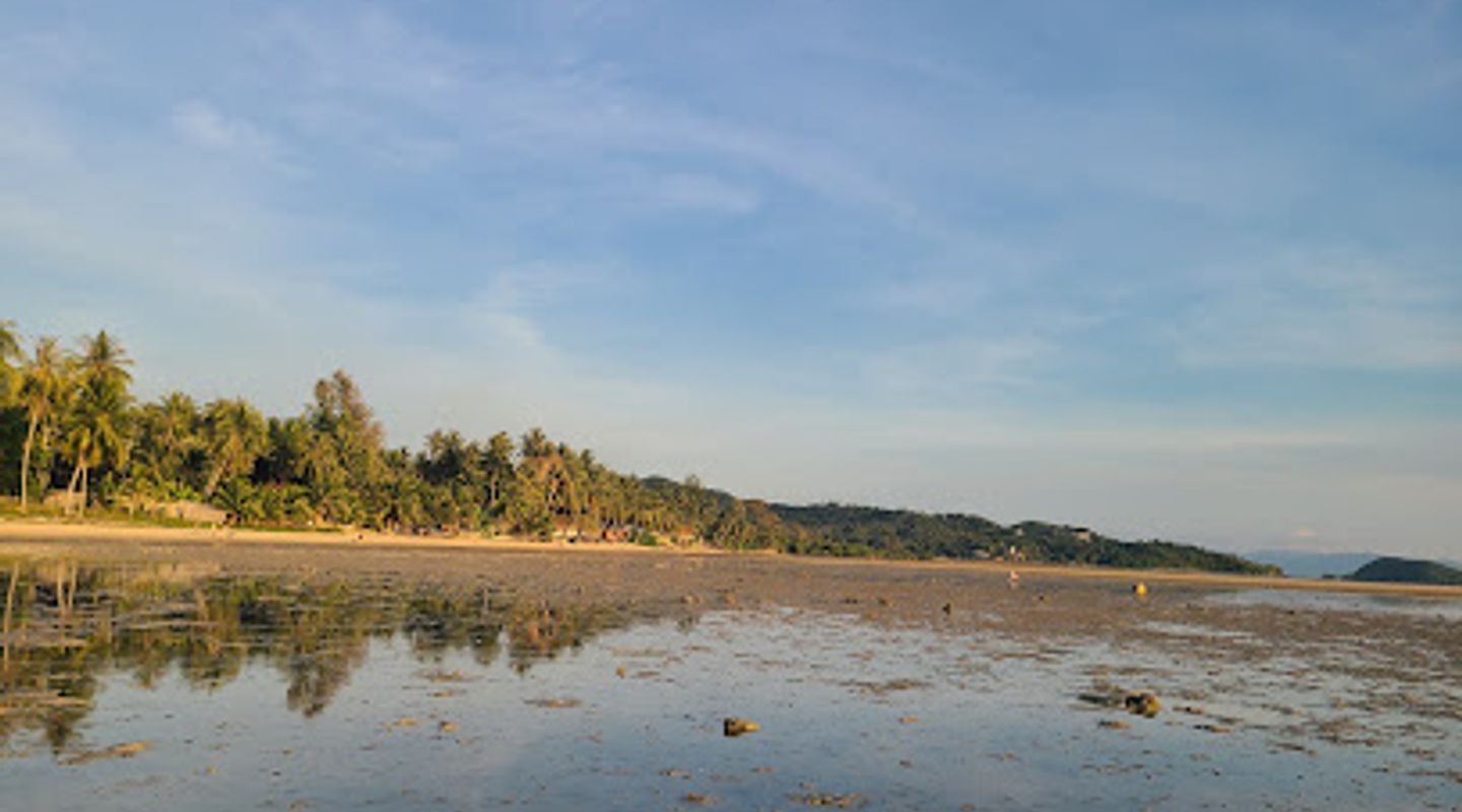 Background