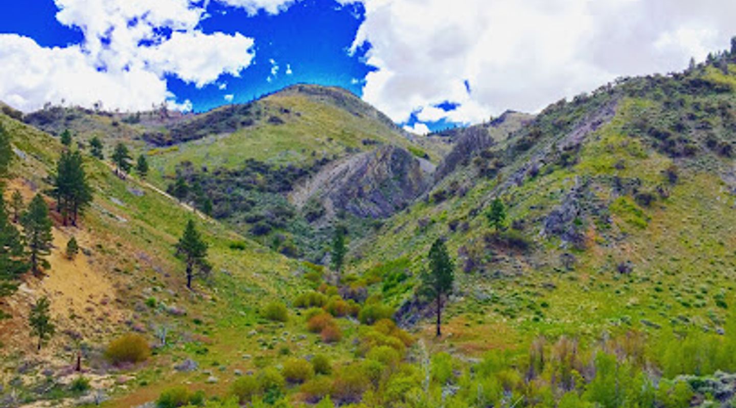 Background