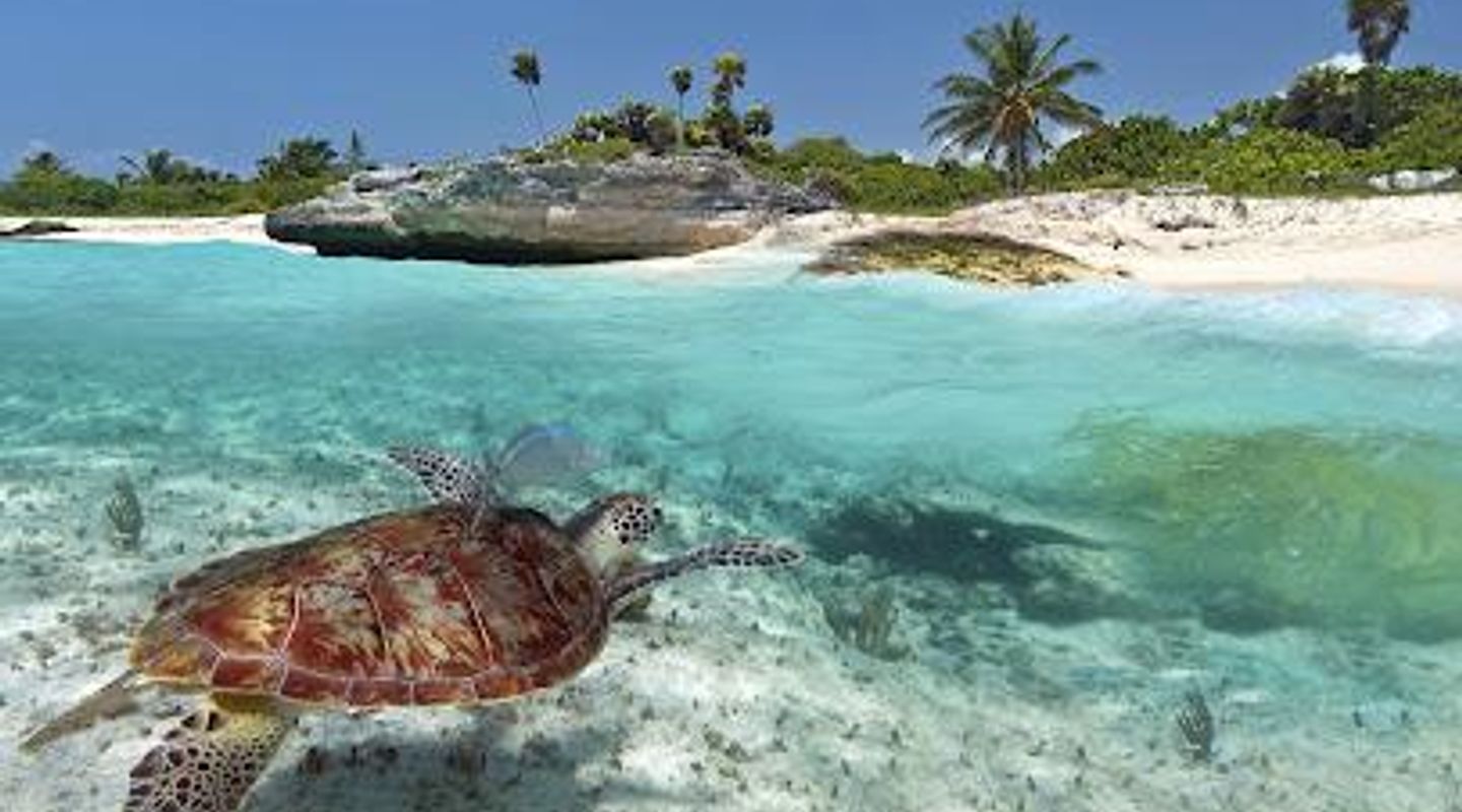 Akumal