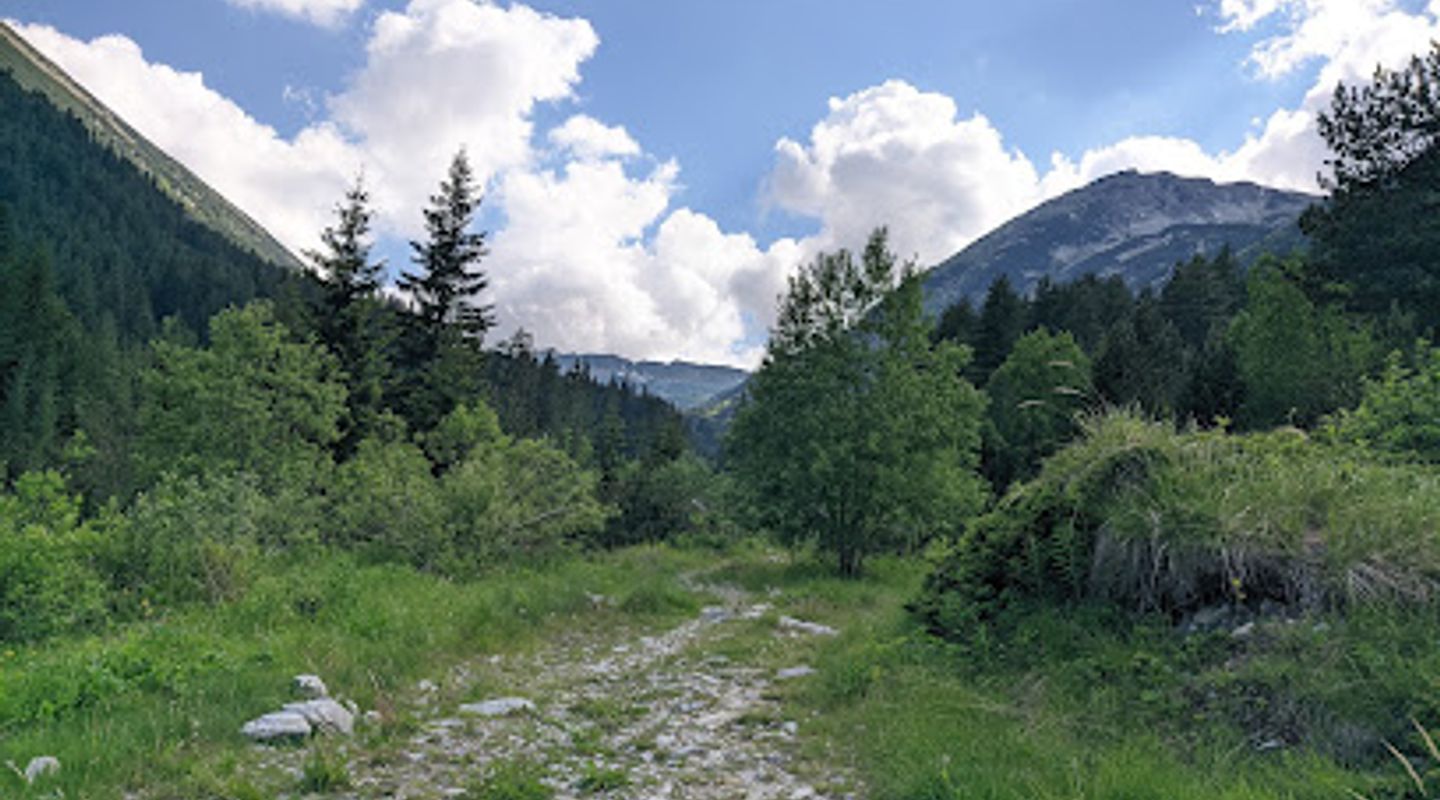 Background