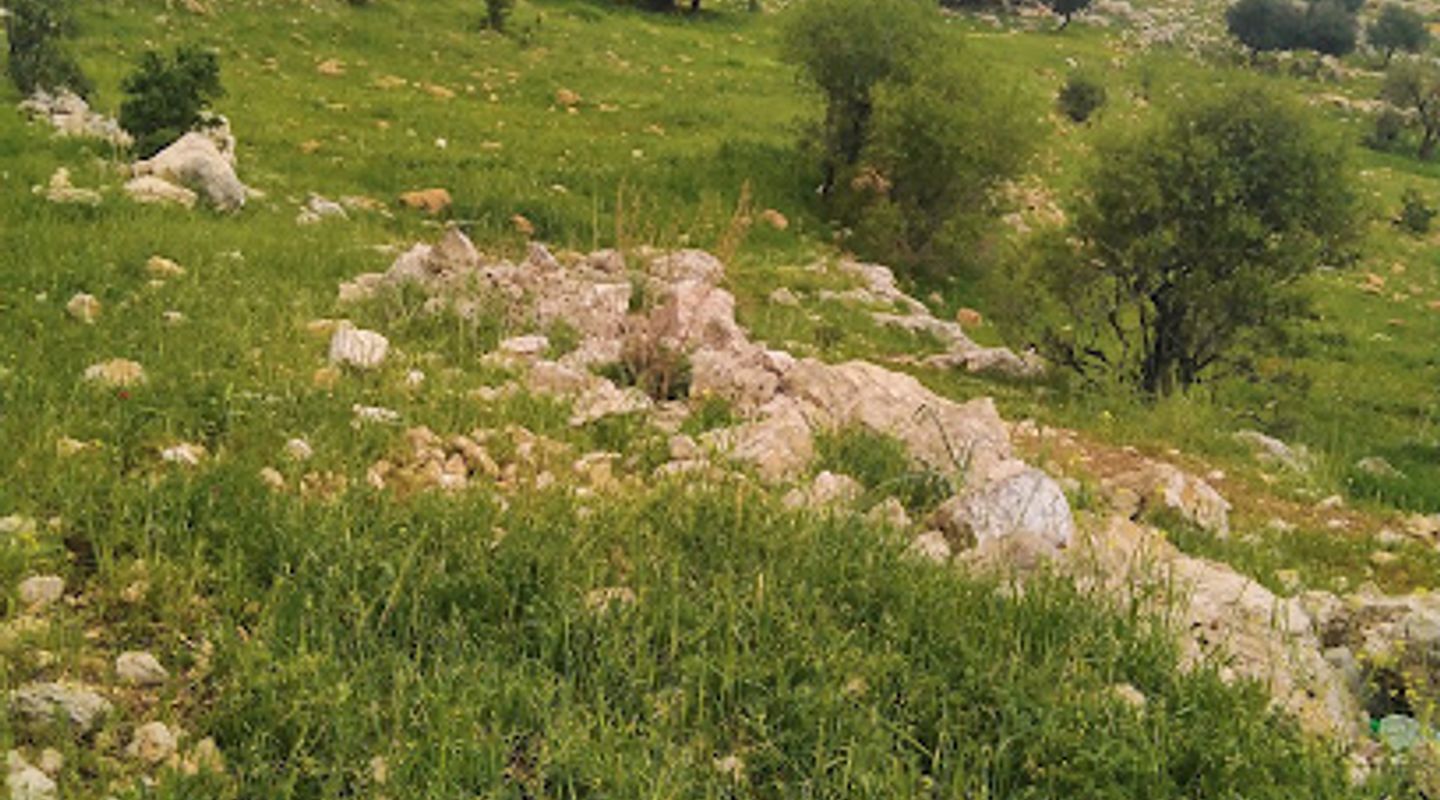 Background