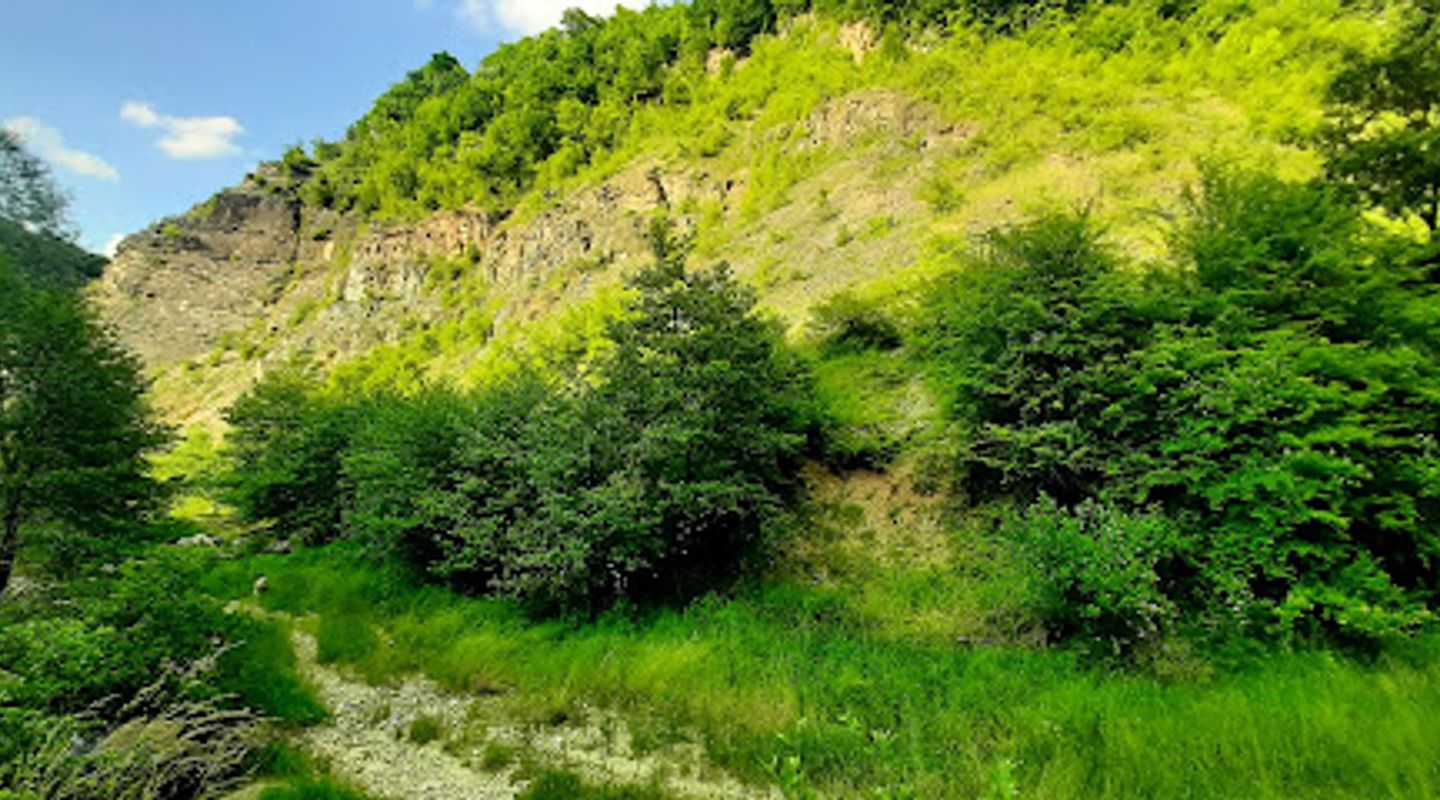 Background