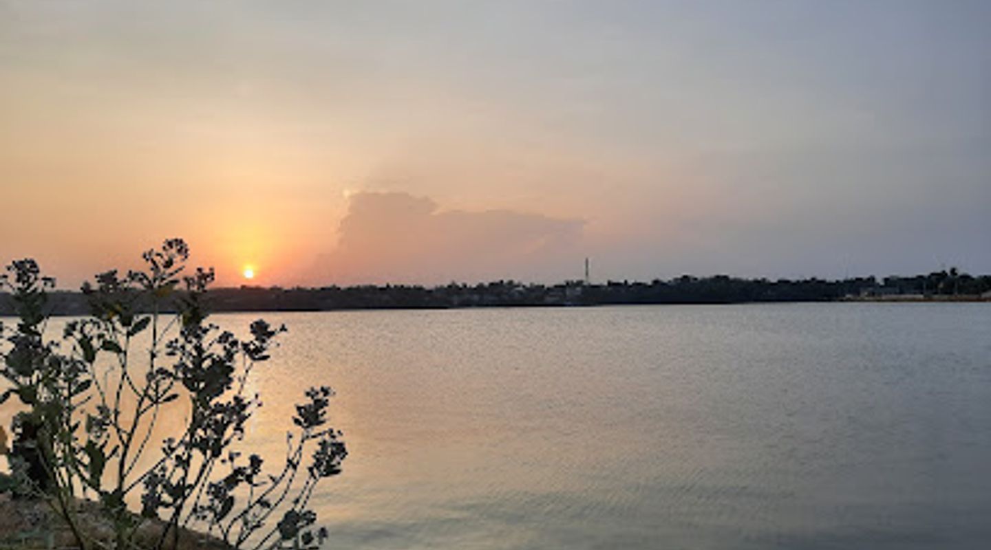 View Point
