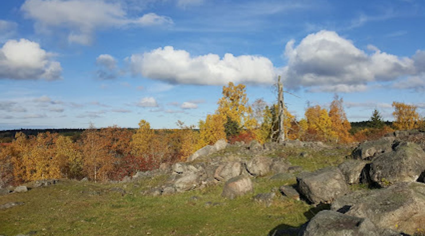 Background