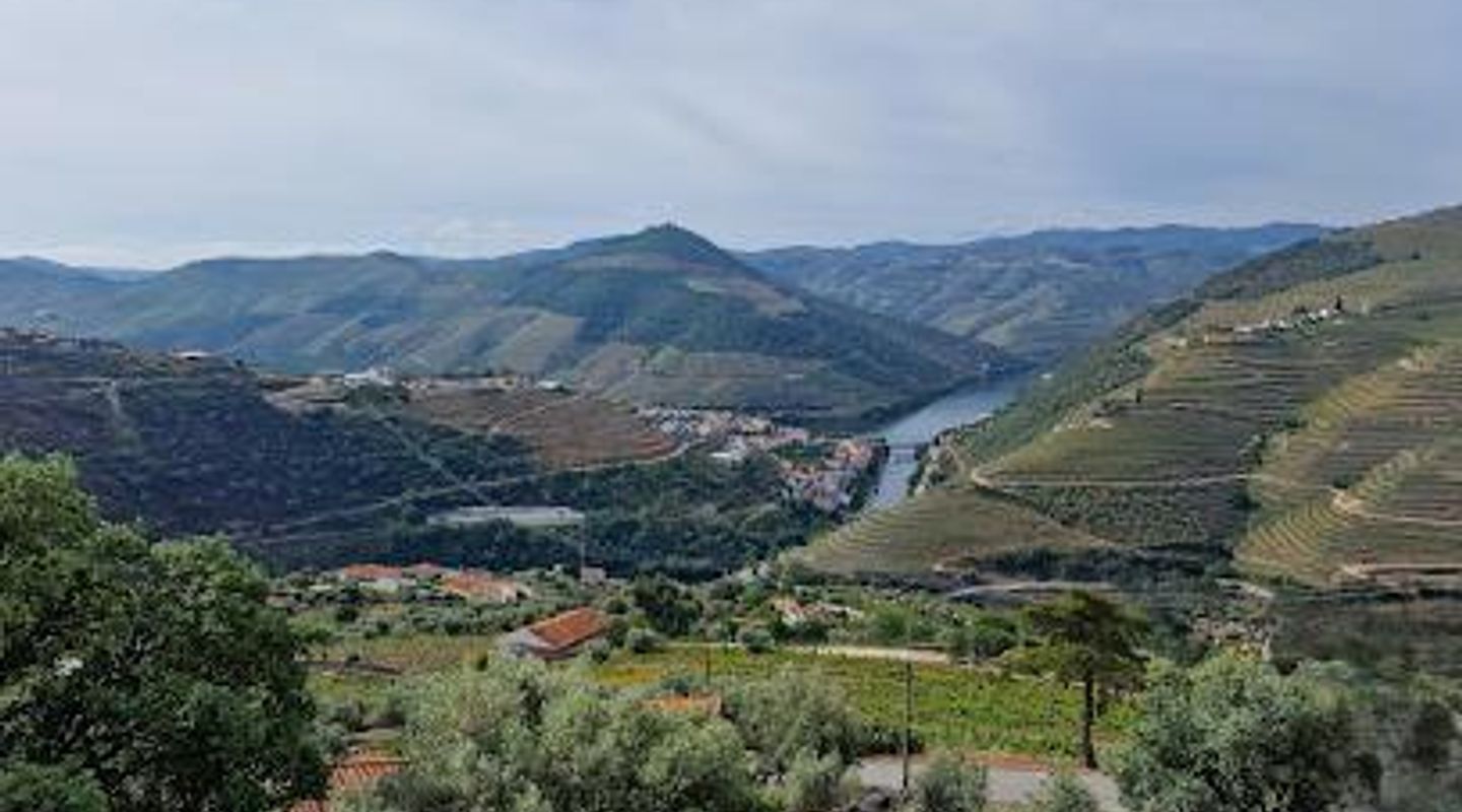 Miradouro Torguiano
