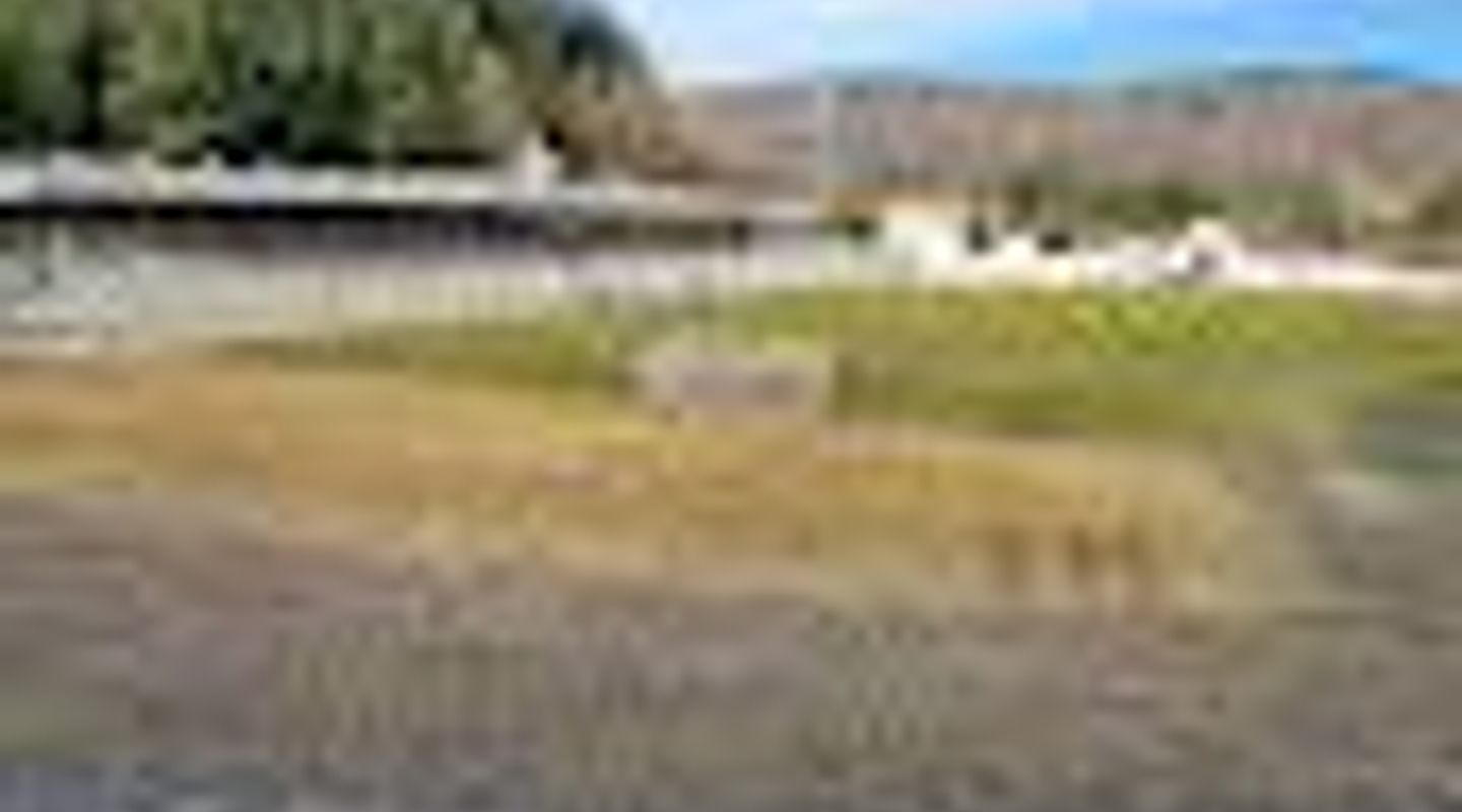 Estádio dos Remédios