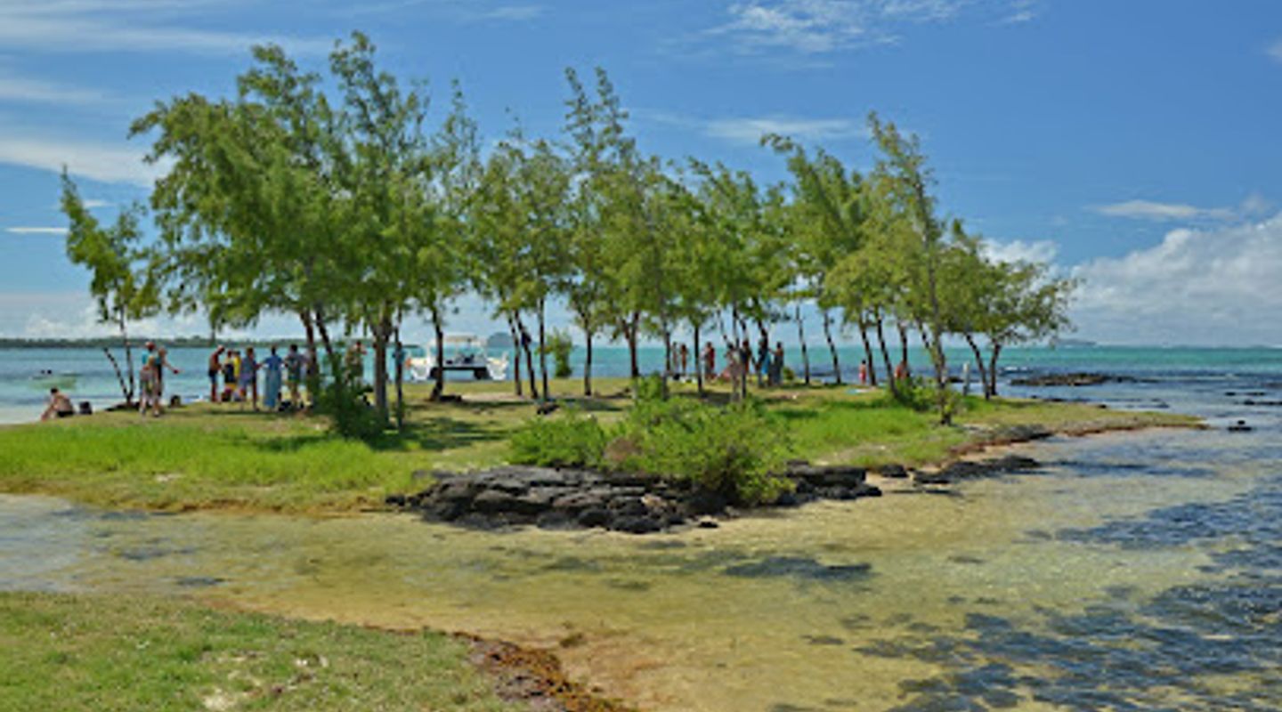 L'îlot Bernache