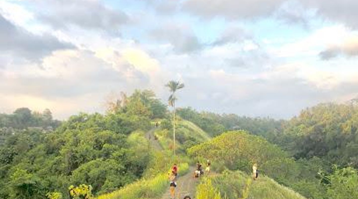 Background