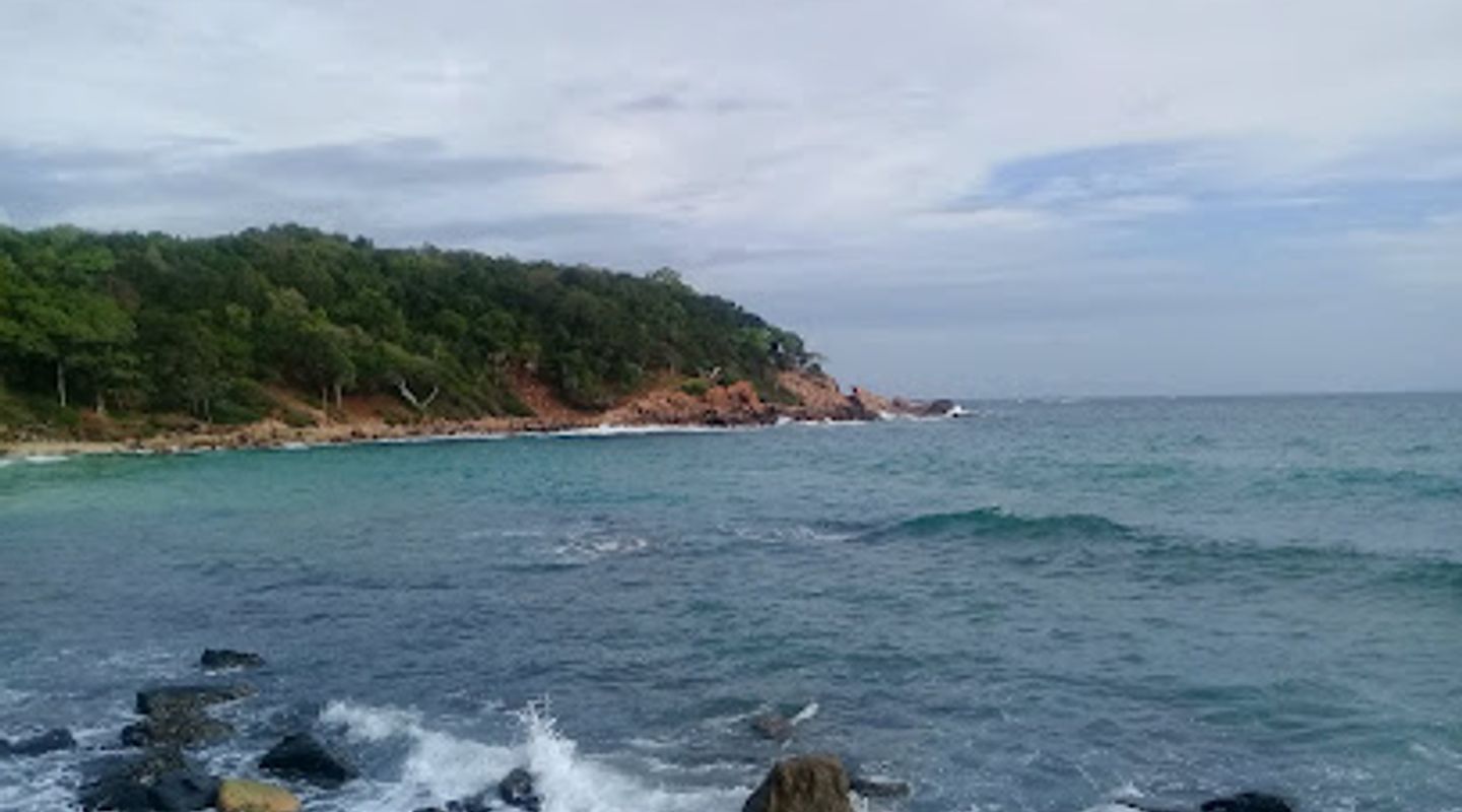Background