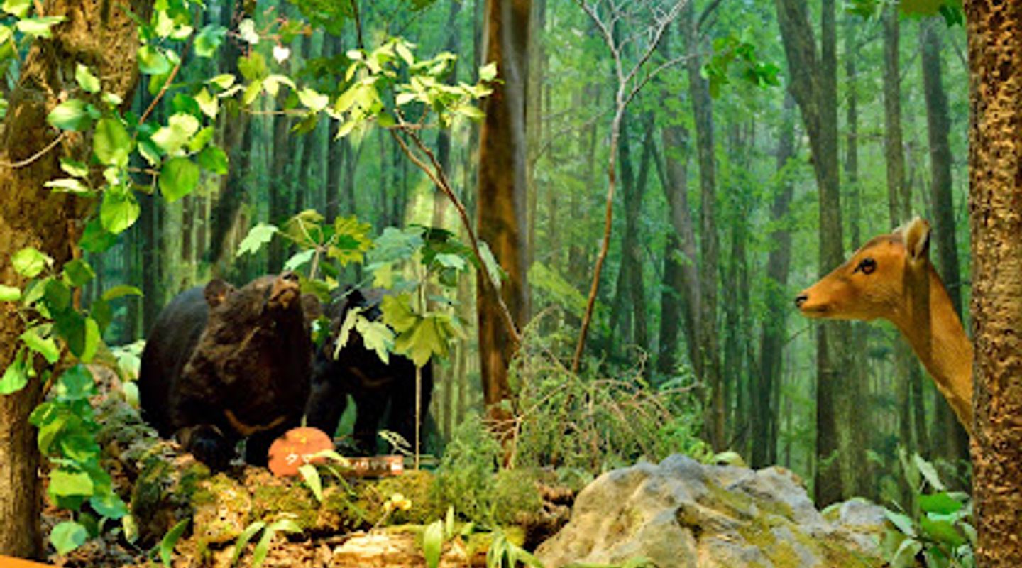 Background