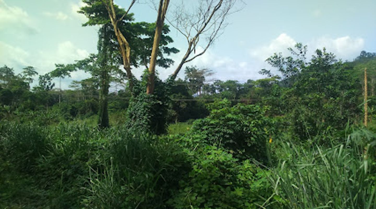 Background