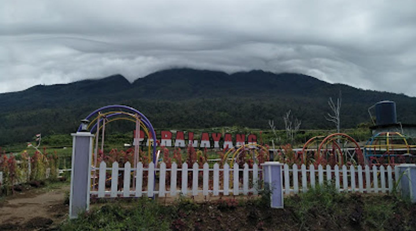 Background