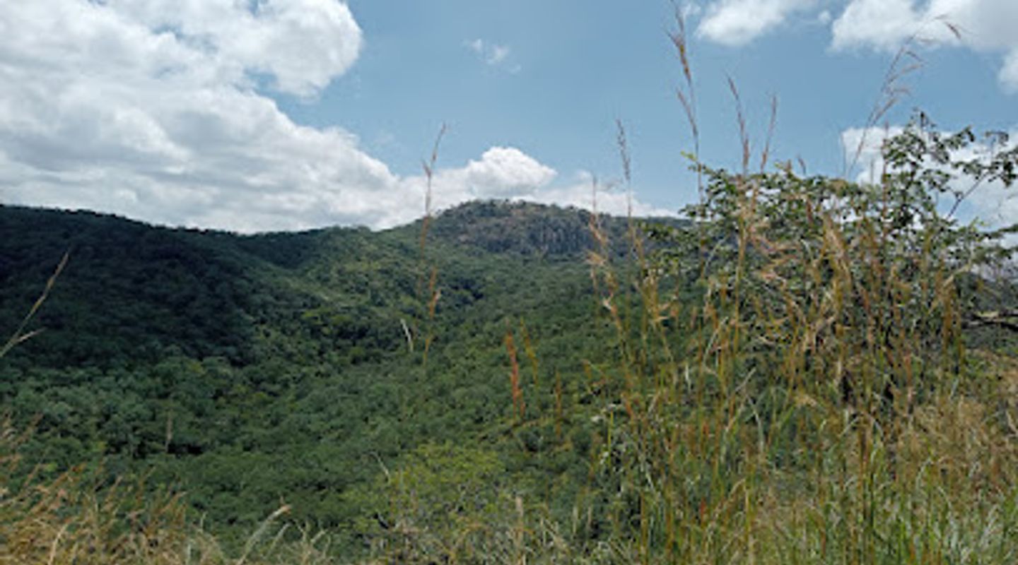 Background