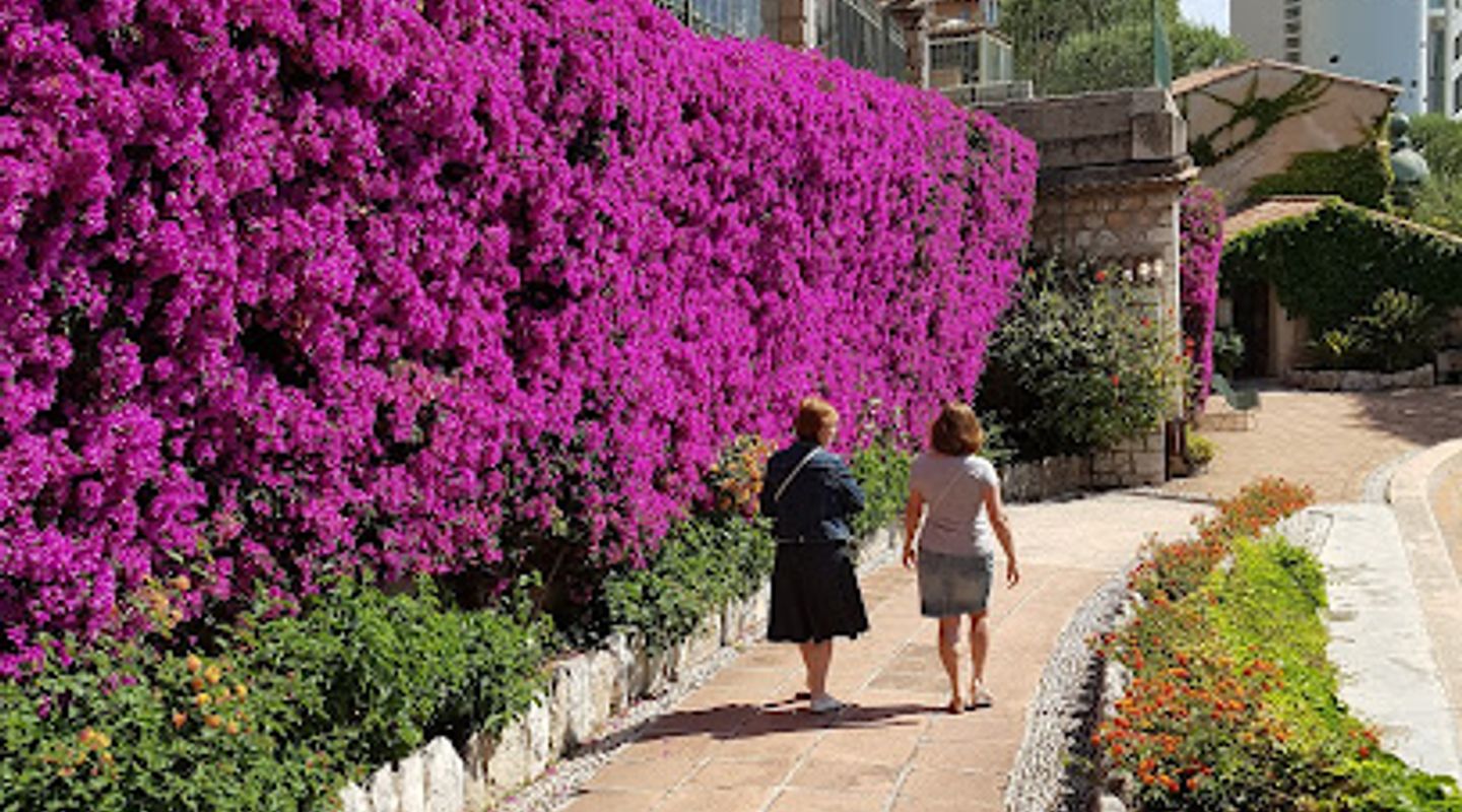 Background