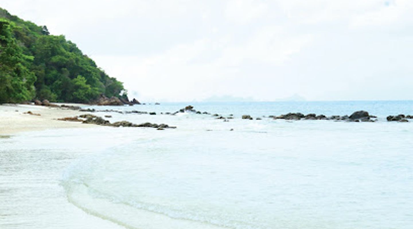 Background