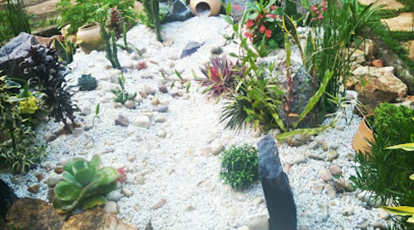 Background