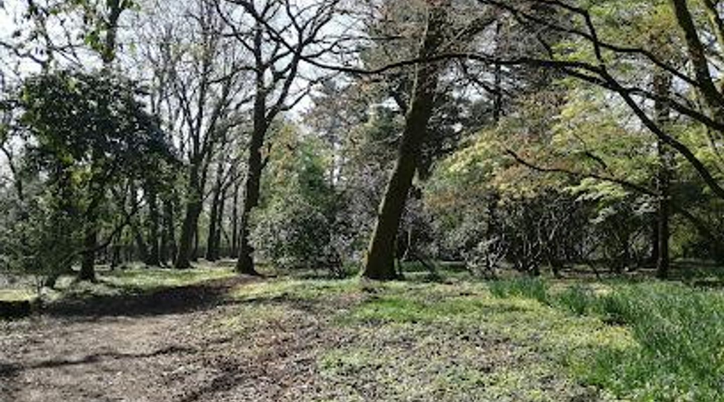 Parc Cefn Onn