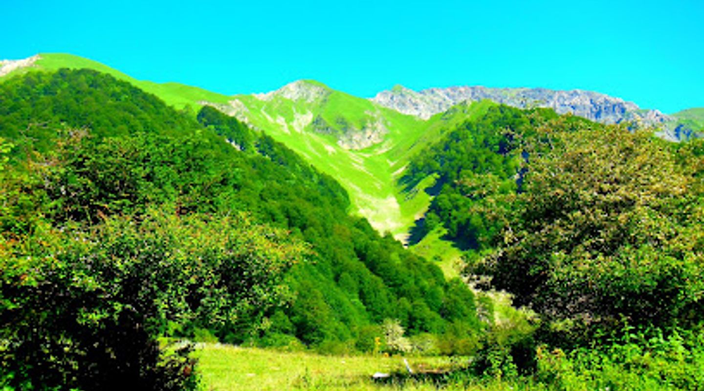 Şahdağ Milli Parki