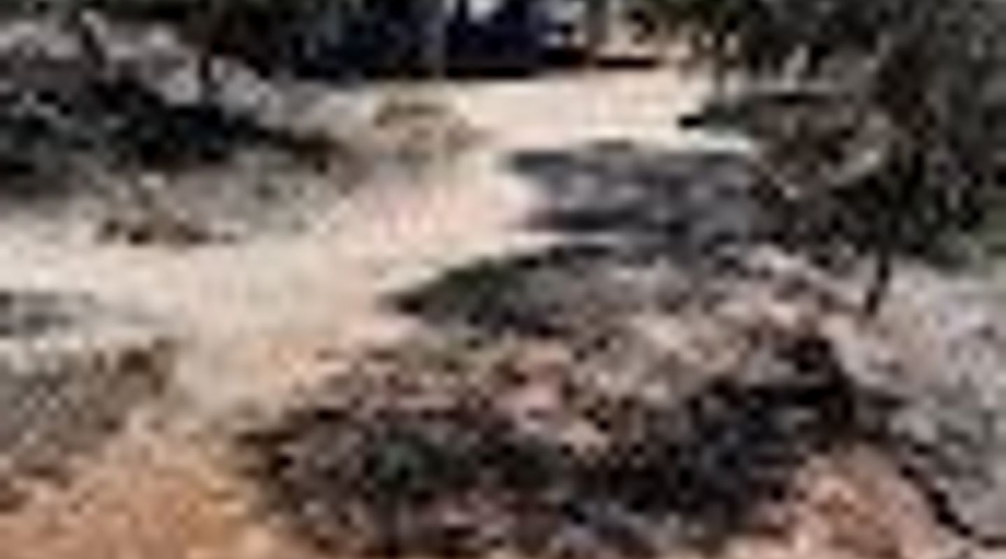 Bales Bay picnic area