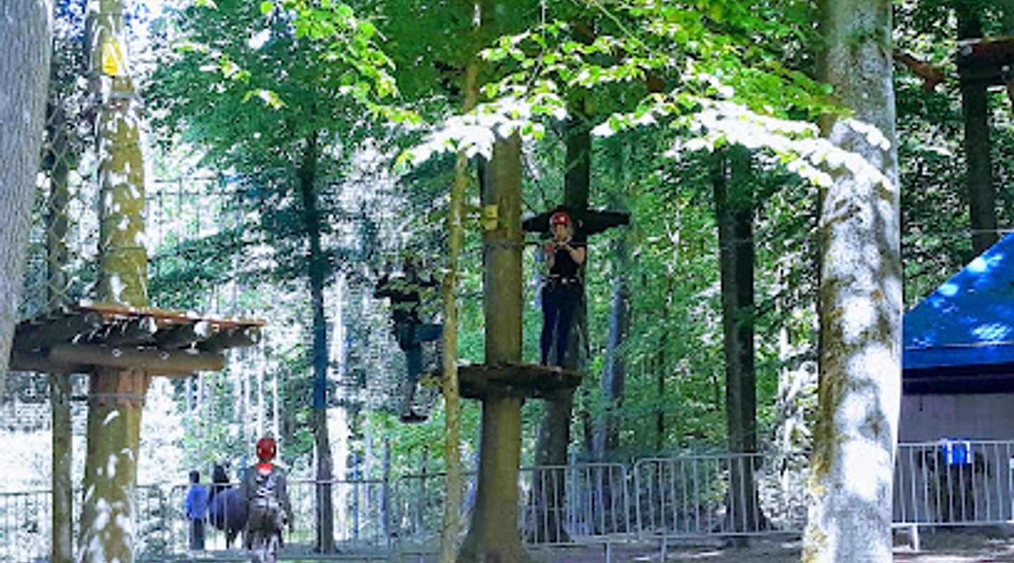 Northern Forest