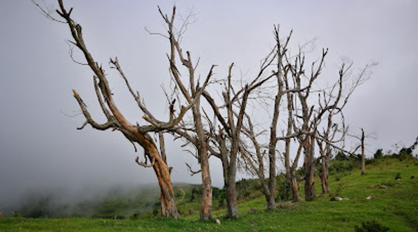 Pic Macaya National Park