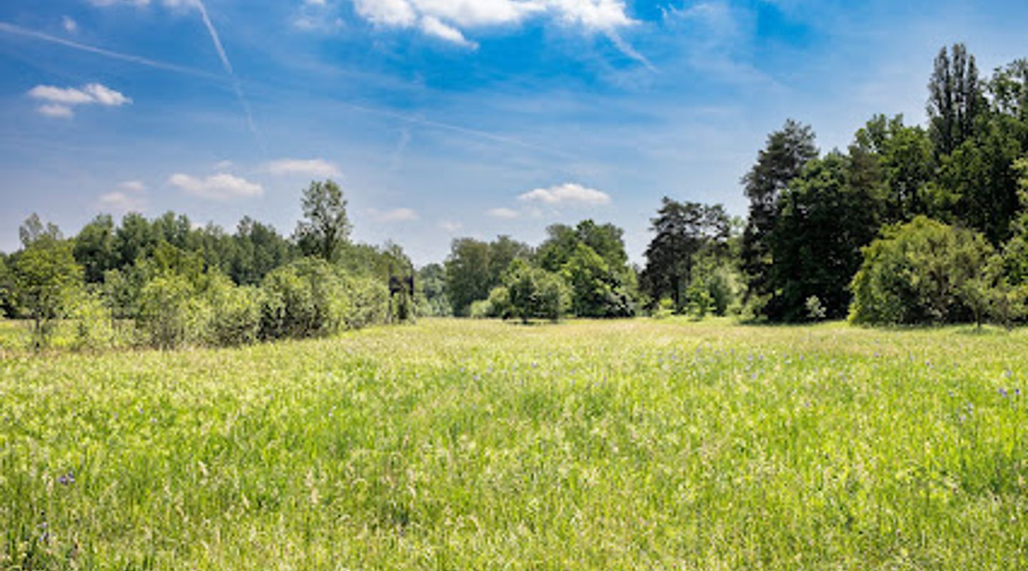 Botanical Garden, Soroksár