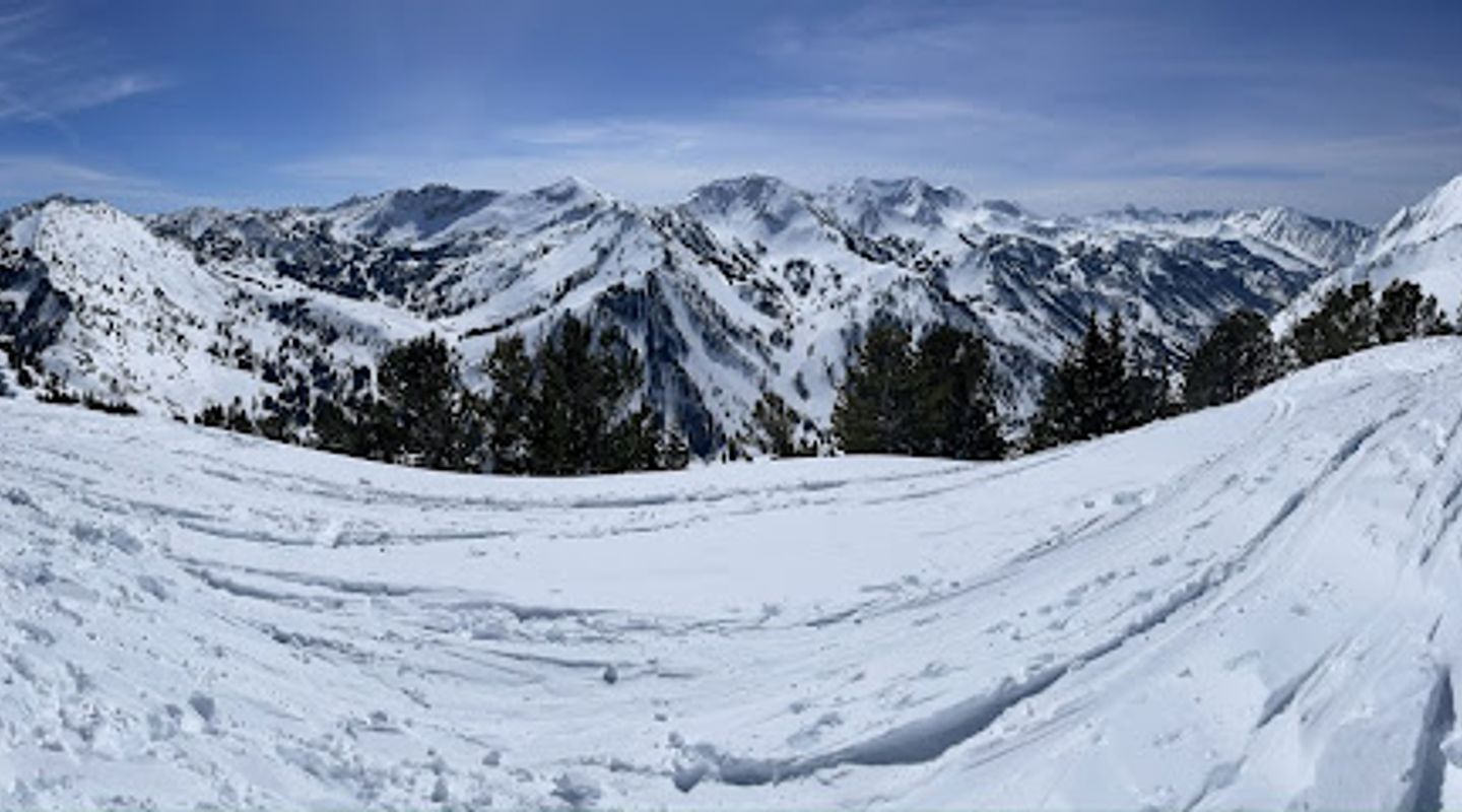 Background