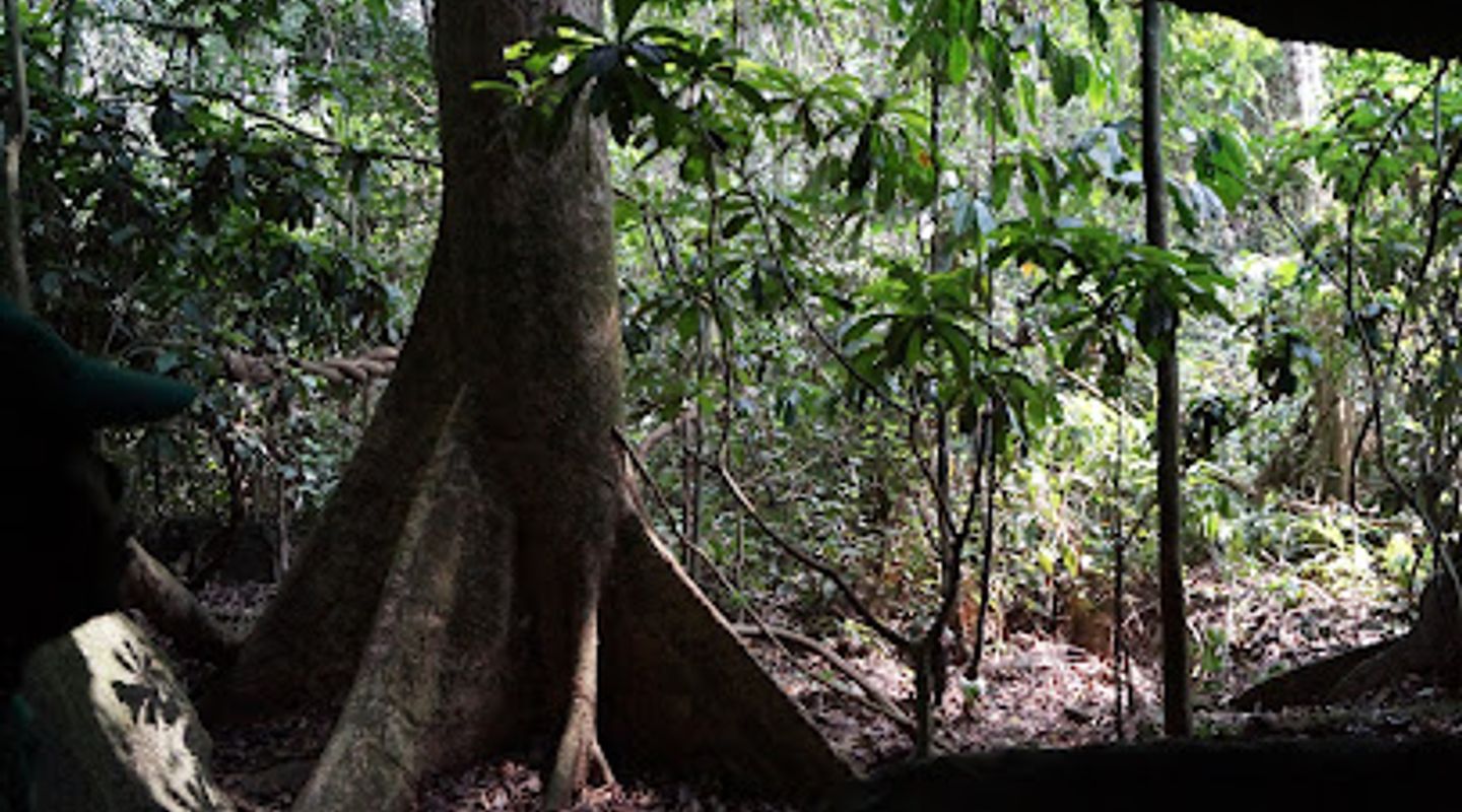 Campo Reserve