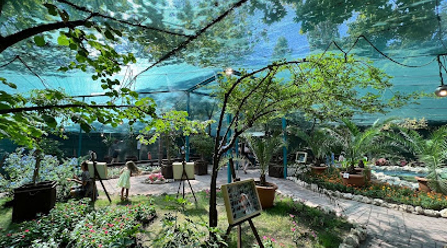 Background