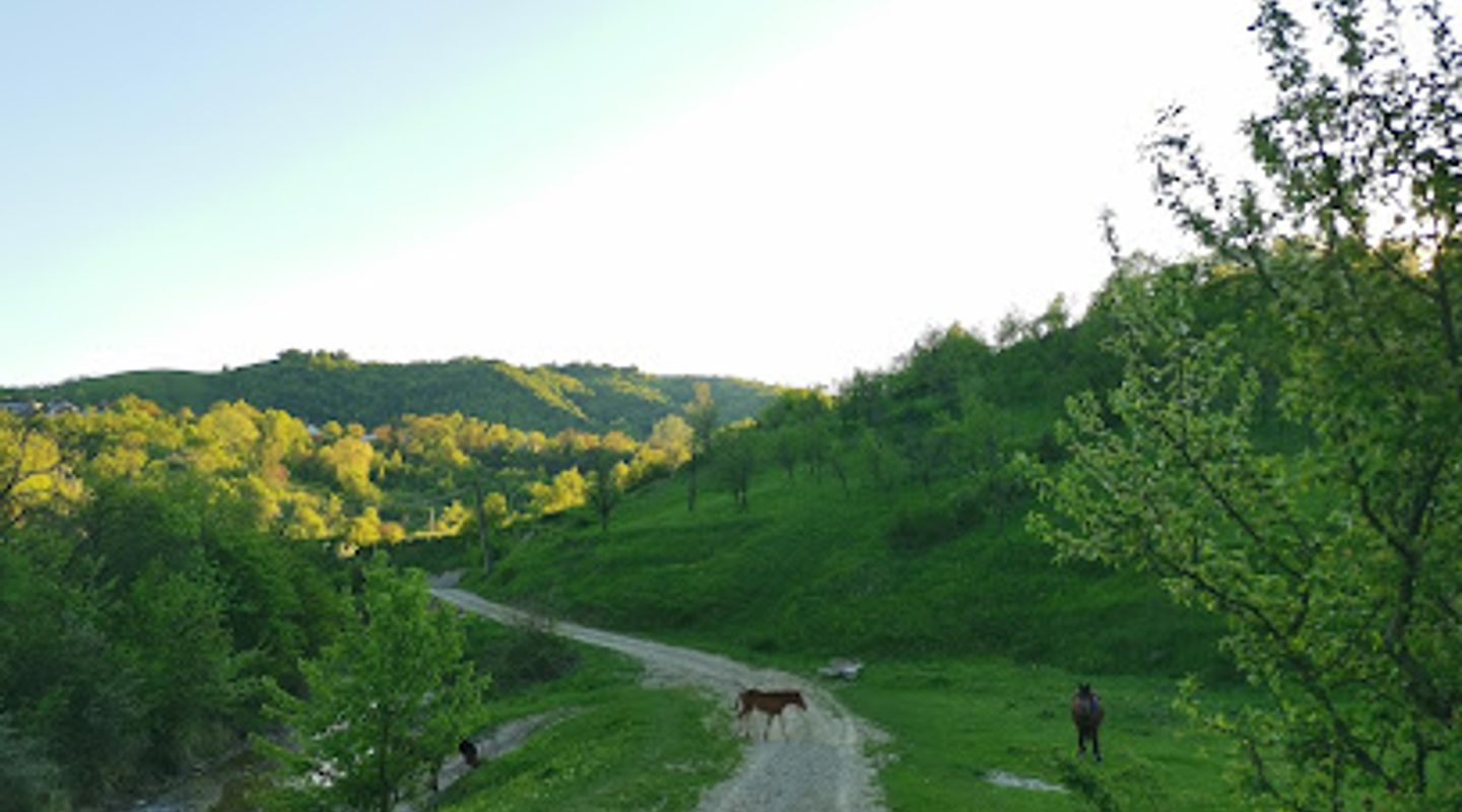 Background